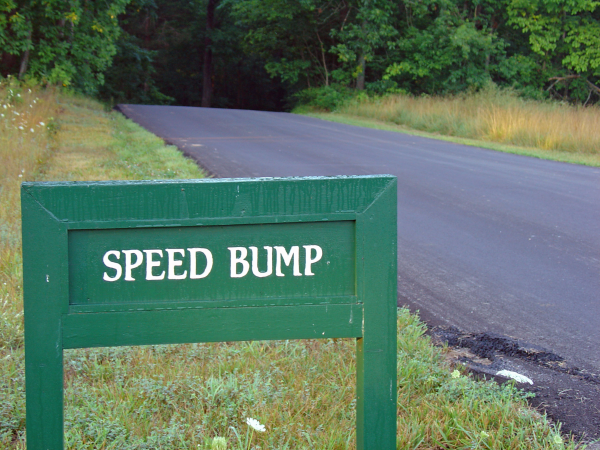 speed bump green sign 