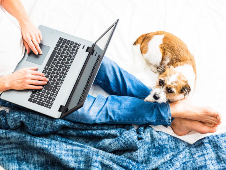 person sitting on floor with laptop and dog